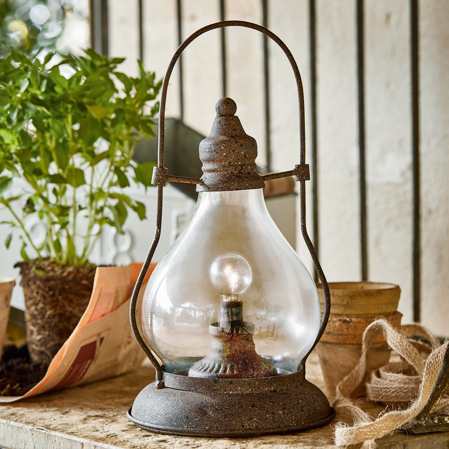 Ledlantaarn Cortney Rustieke metalen lamp met doorzichtige glazen kap en gloeilamp op tafel met plant