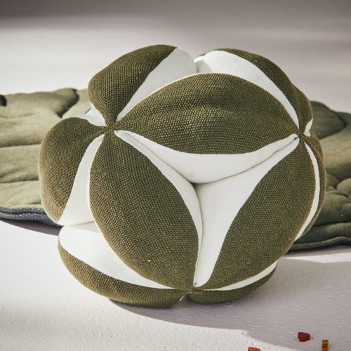 Accessoires en speelgoed