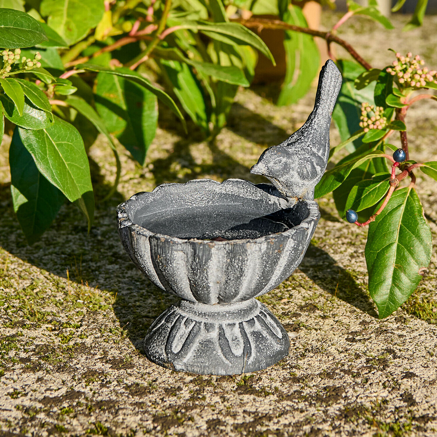 Grijze gietijzeren vogelbad met vogelbeeldje, decoratief voor tuin en vogelvoederplaats