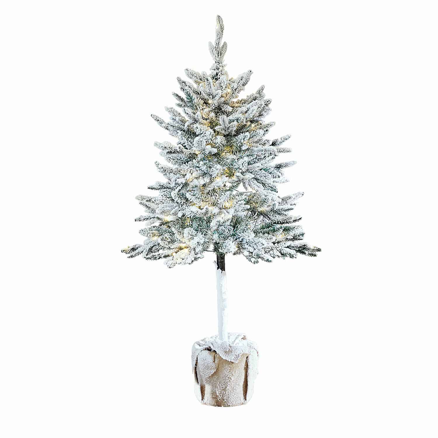 Kerstboom Deano