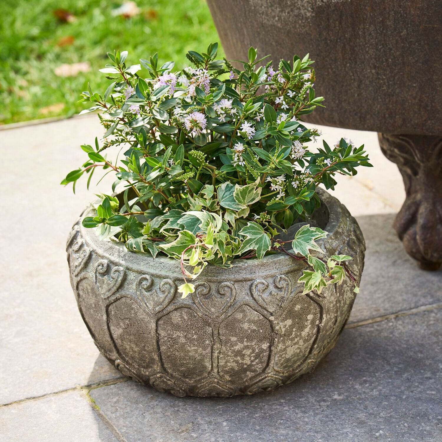 Sierpot Sordelia Ronde grijze stenen bloempot met groene planten en witte bloemen op stenen terras