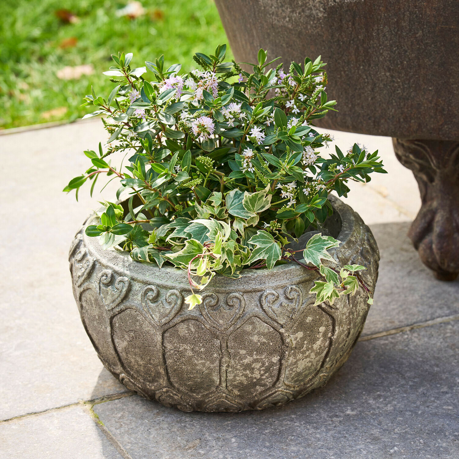 Sierpot Sordelia Ronde grijze stenen bloempot met groene planten en witte bloemen op stenen terras