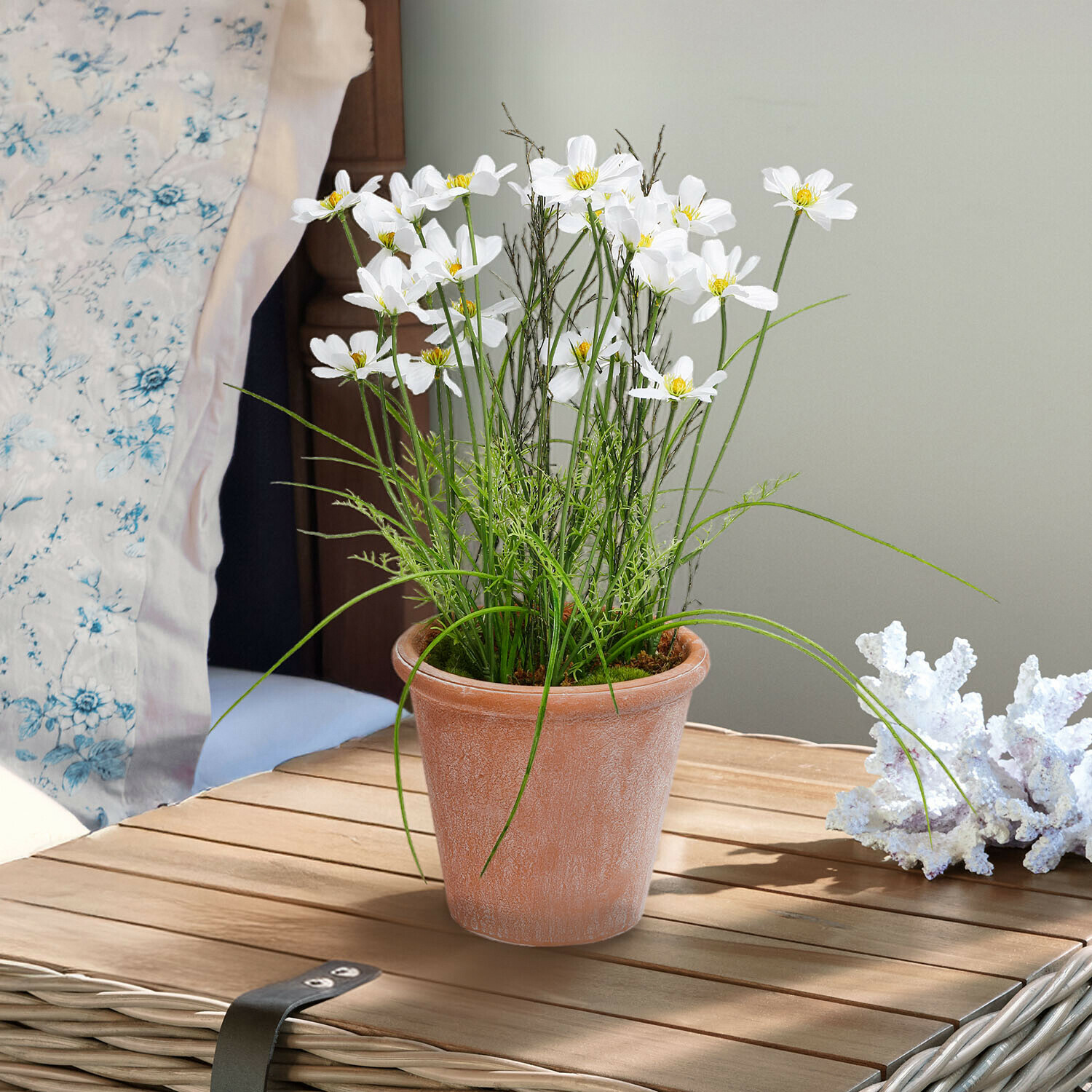 Decoratieve potplant Harmoise