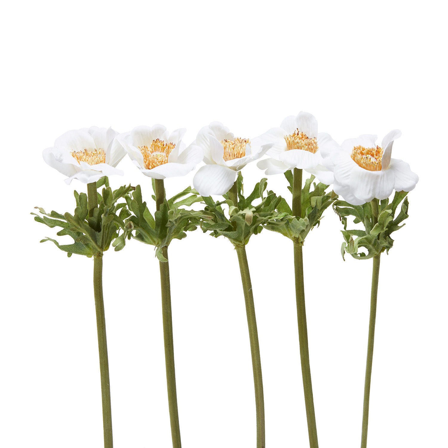 Sierbloem kerstroos set van 5 Grain