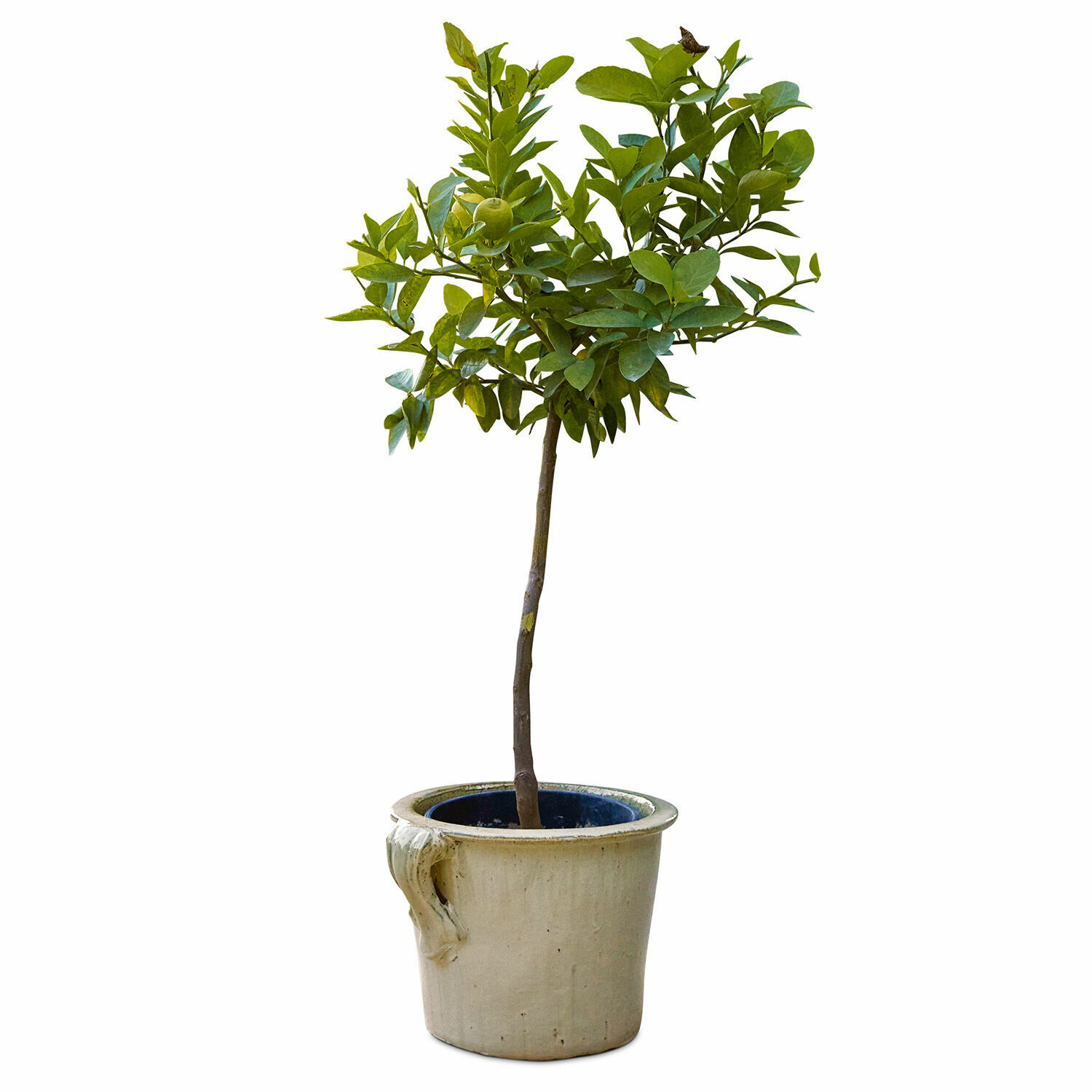 Sierpot Lemay
