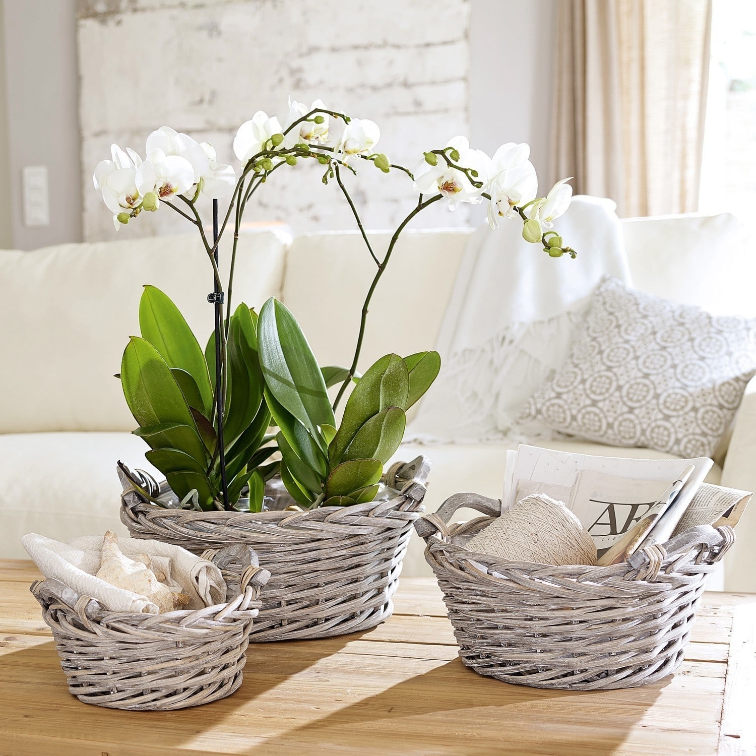 Plantenmanden set van 3 Waylon