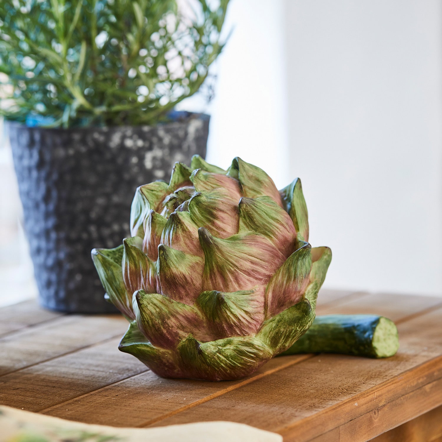 Decoratieve artisjok Myka