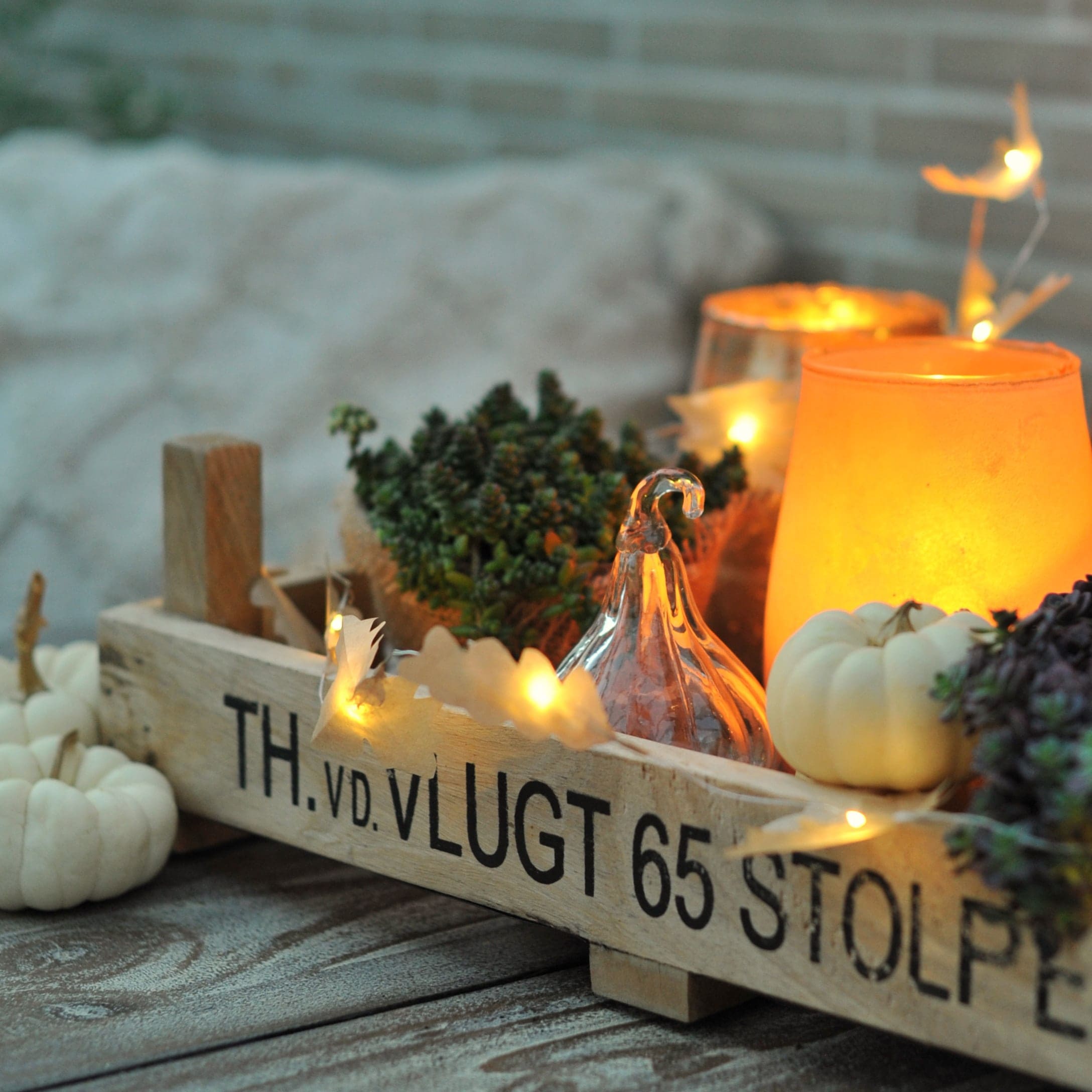 Houten kist met herfstdecoratie, witte pompoenen, kaarsen en planten op tafel