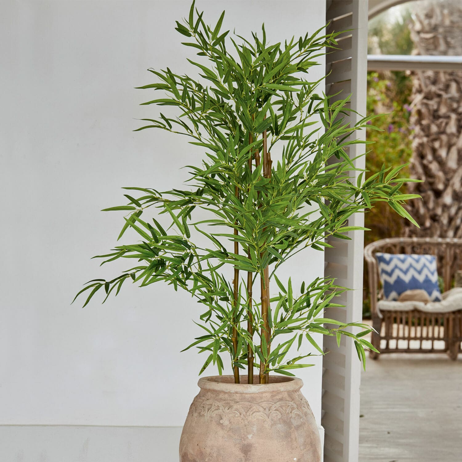 Decoratieve potplant Ligron