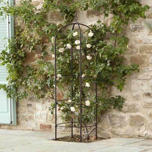 Zwart metalen klimrek voor klimplanten tegen stenen muur met groen blad