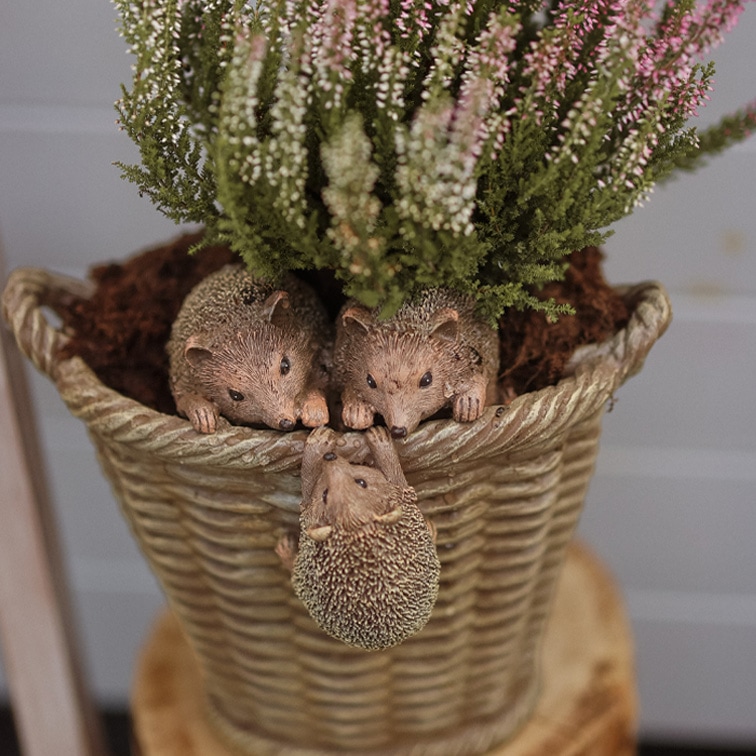 Bloempot van kunststof met rieten look, drie egeldecoraties en groen-roze bloeiende heide