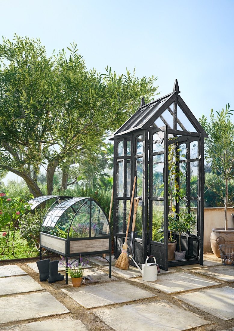 Zwart metalen en glazen tuinkas met tuingereedschap op zonnig terras met planten.