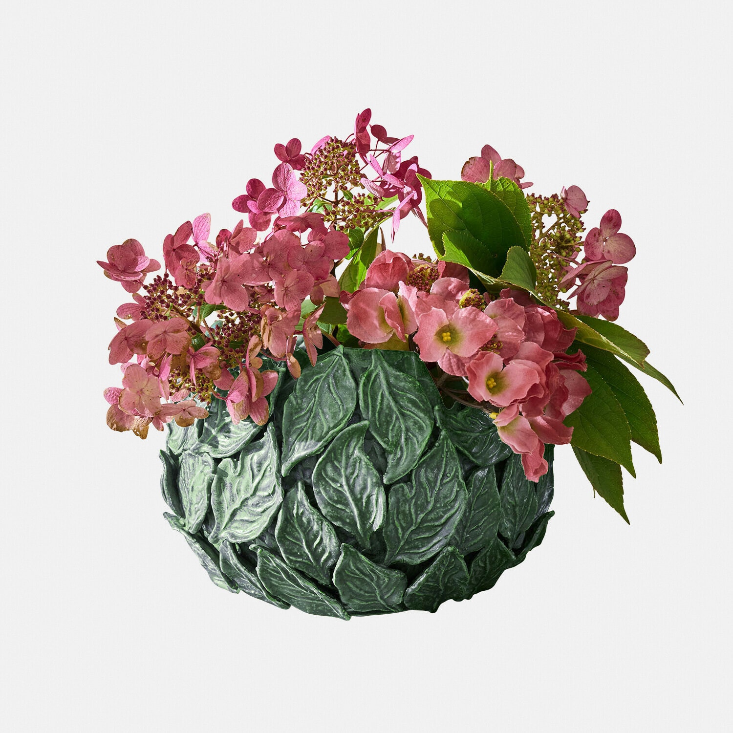 Vaas Fiorabela