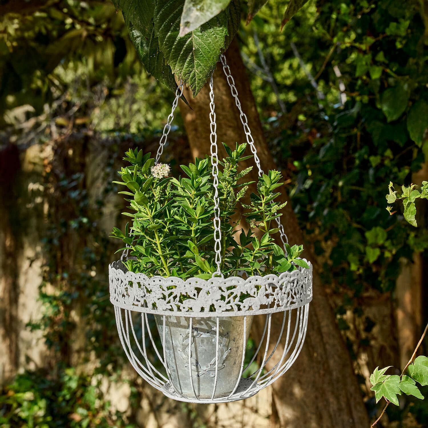 Hangmand set van 2 Iveralia