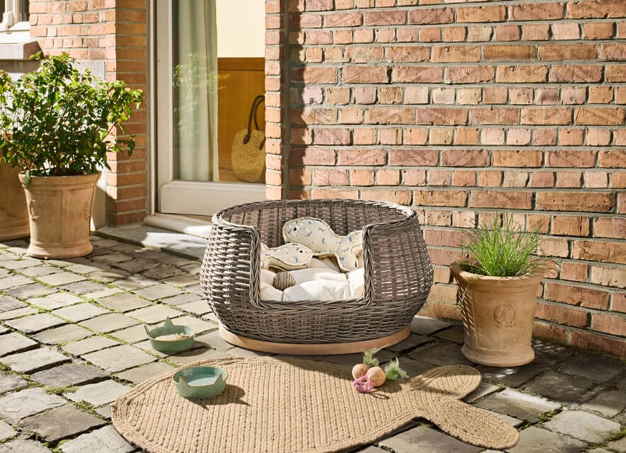 Dromerige mand van rotan