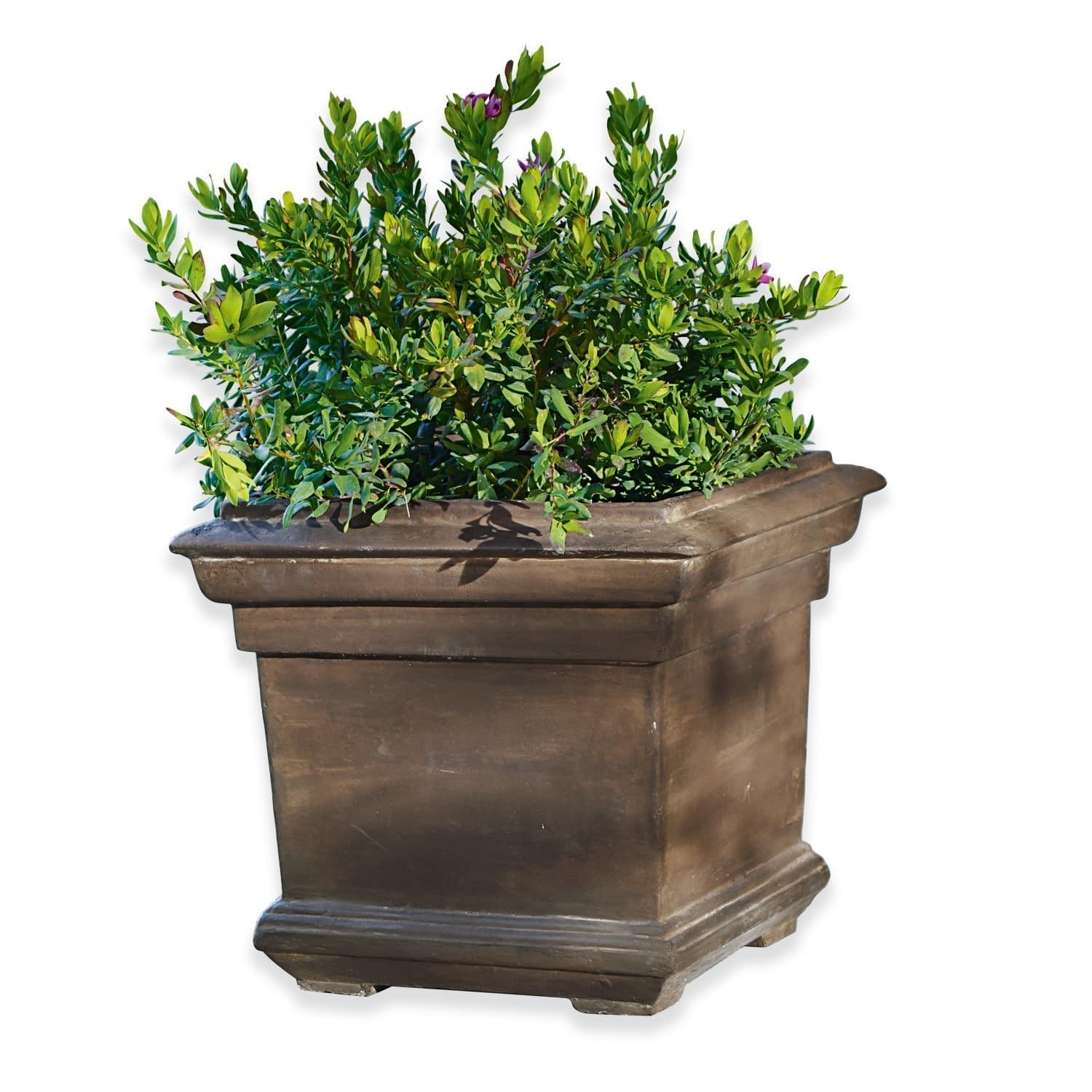 Sierpot Magnum
