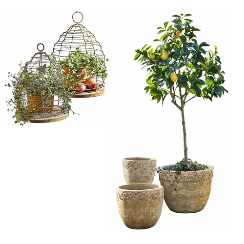 Set van drie beige keramische bloempotten met planten en decoratieve metalen kooien