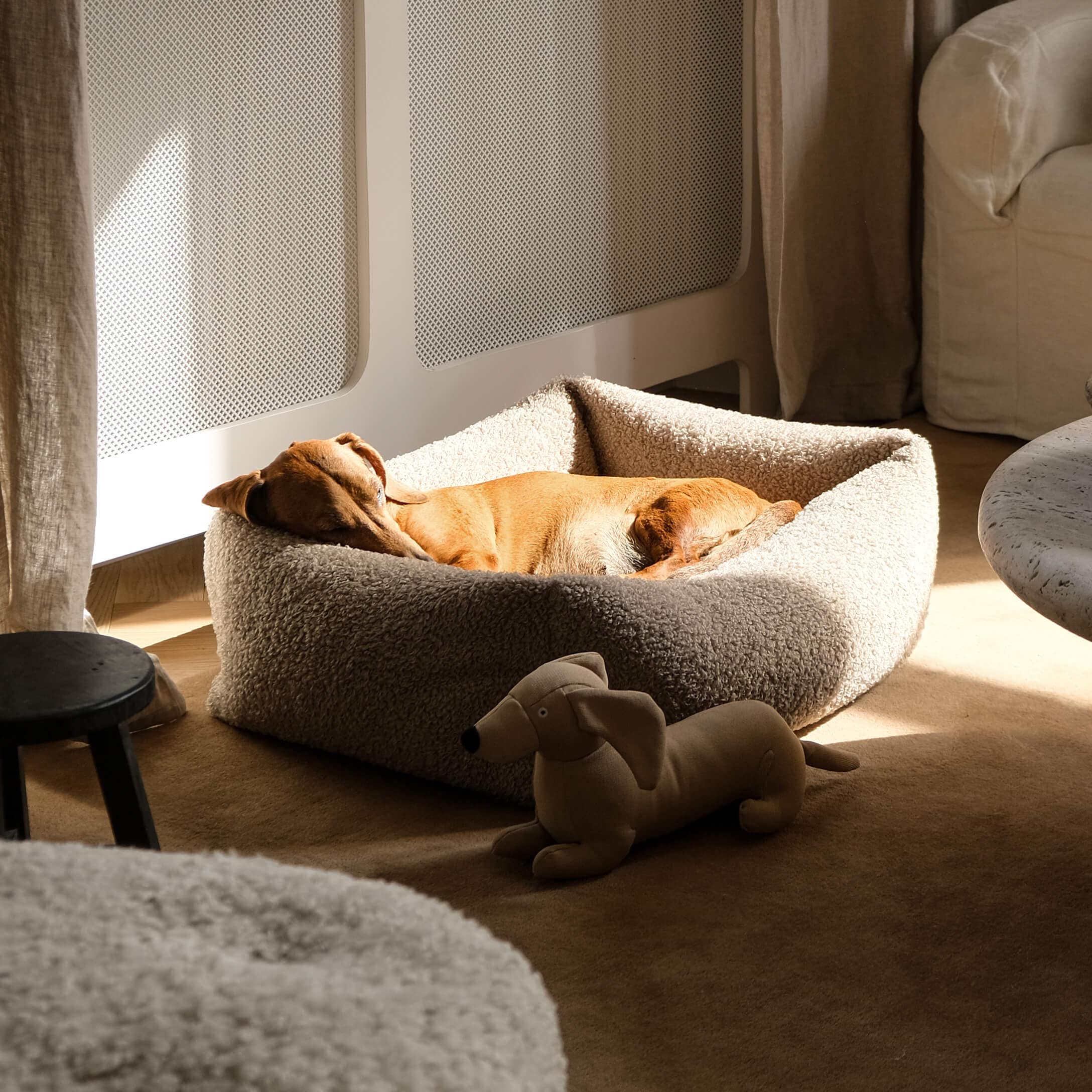 Bruine hond die slaapt in een beige zacht hondenbed van pluche in een lichte kamer