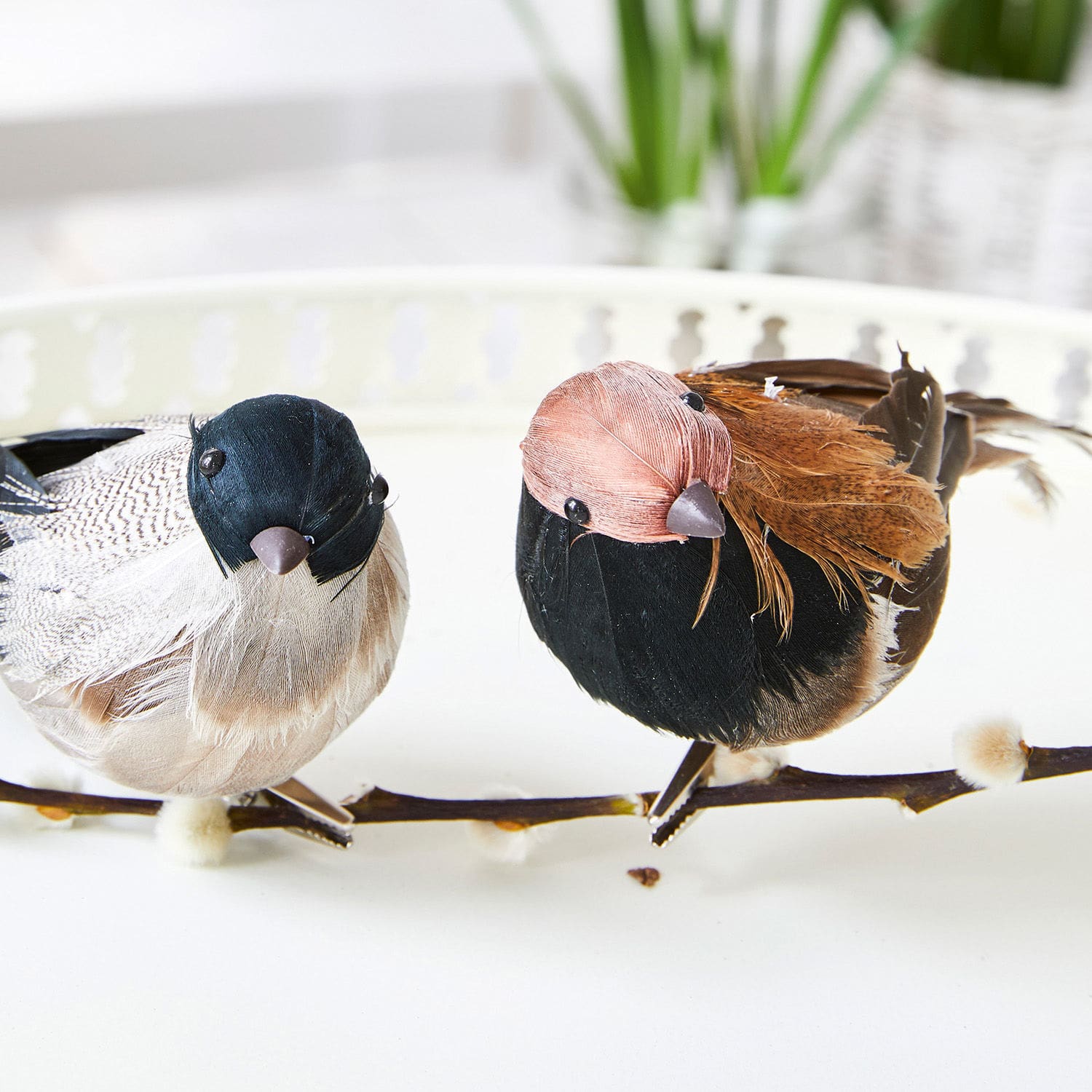 Vogel set van 2 Harera