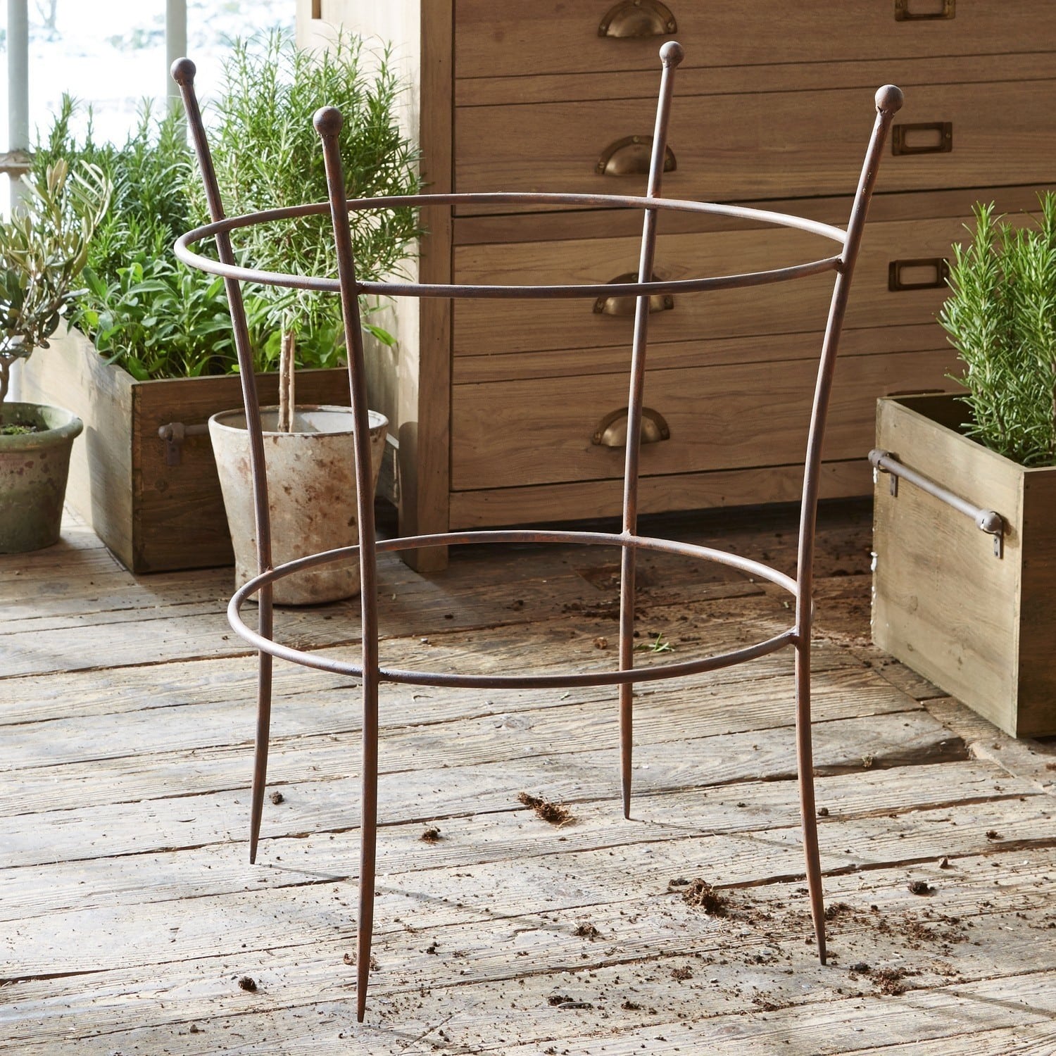 Klimplantenrek Hearne