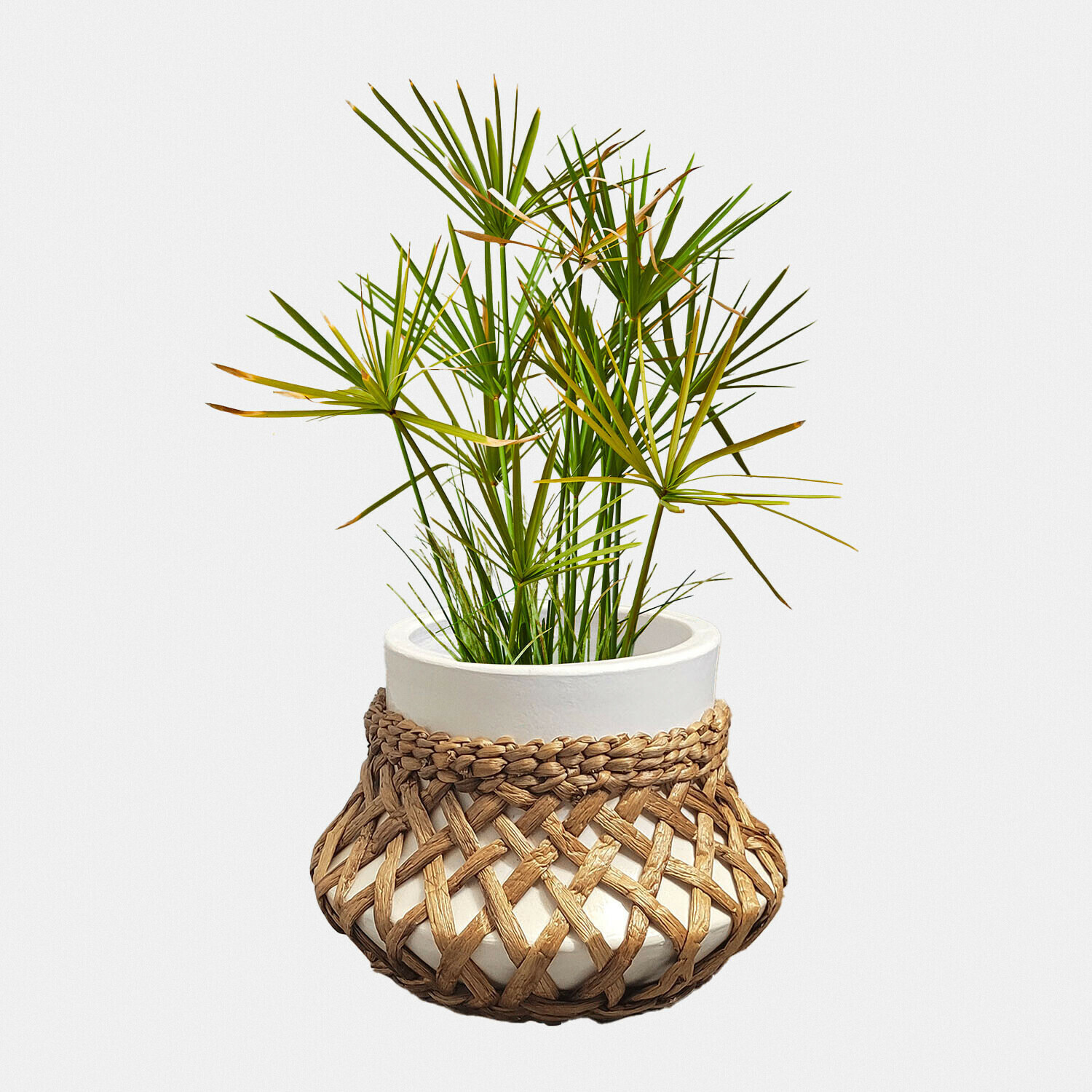 Sierpot Amariel
