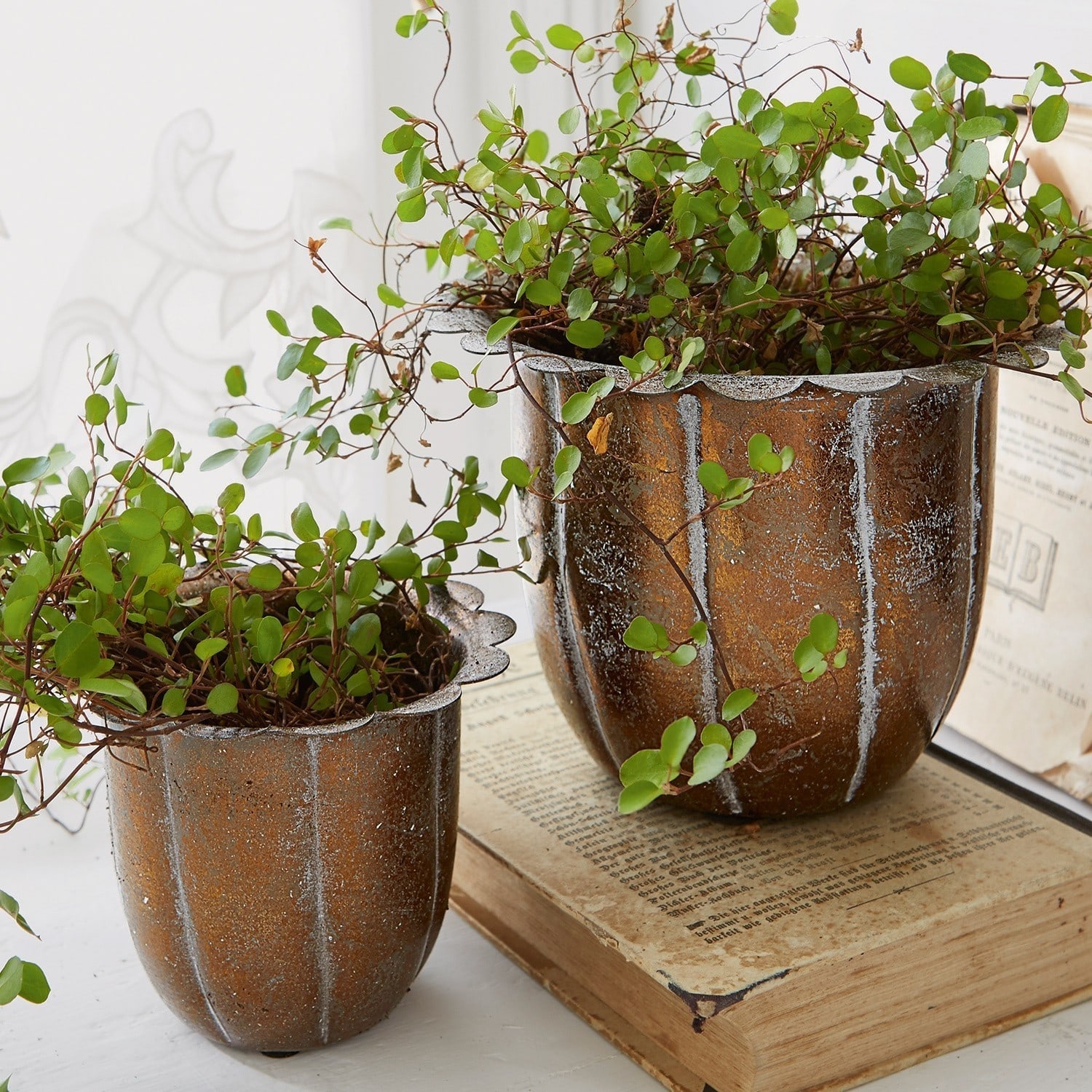 Sierpot set van 2 Périers