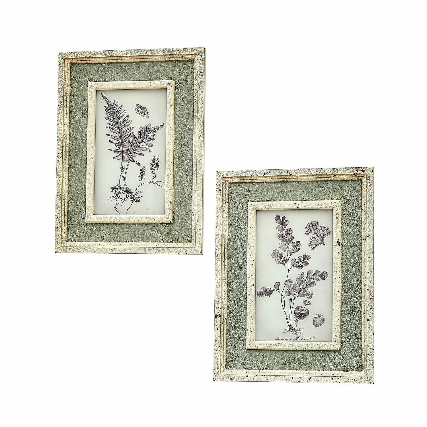 Schilderij set van 2 Cerilav Set van twee groene, gestructureerde lijsten met botanische varenillustraties in vintage stijl