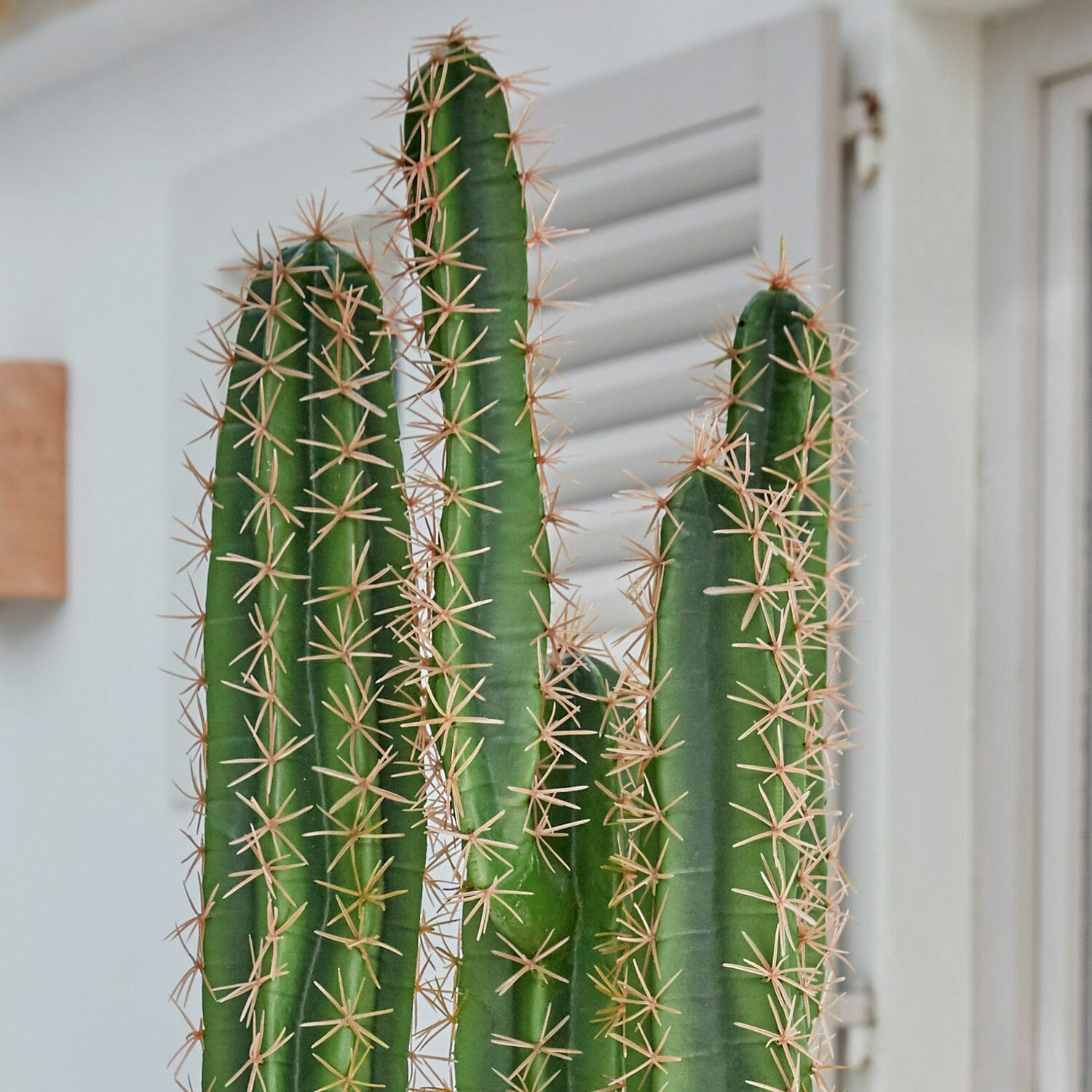 Decoratieve potplant Campana