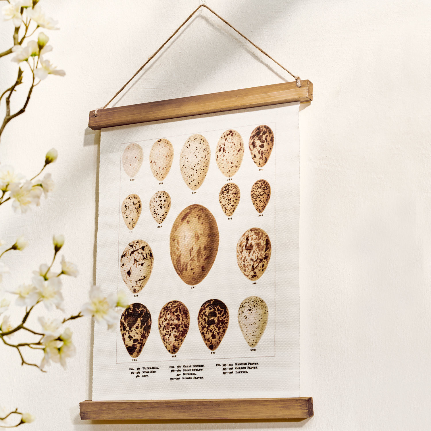 Poster met illustraties van vogel-eieren in bruine en beige tinten op canvas met houten ophangsysteem