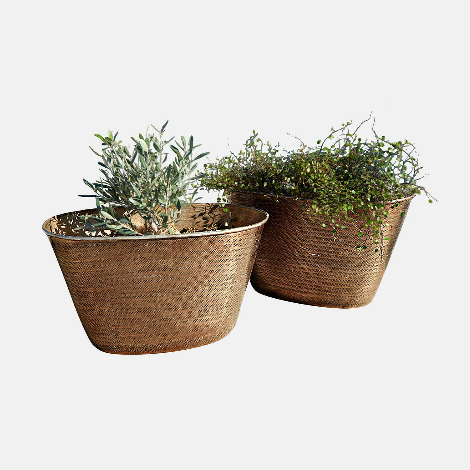 Sierpot set van 2 Rinalo