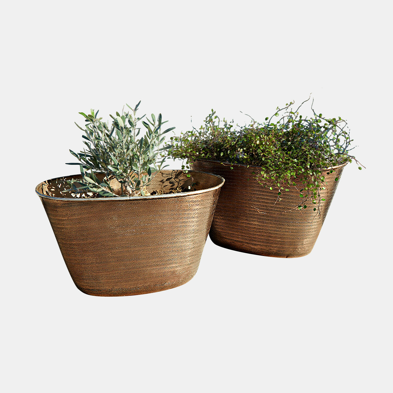 Sierpot set van 2 Rinalo