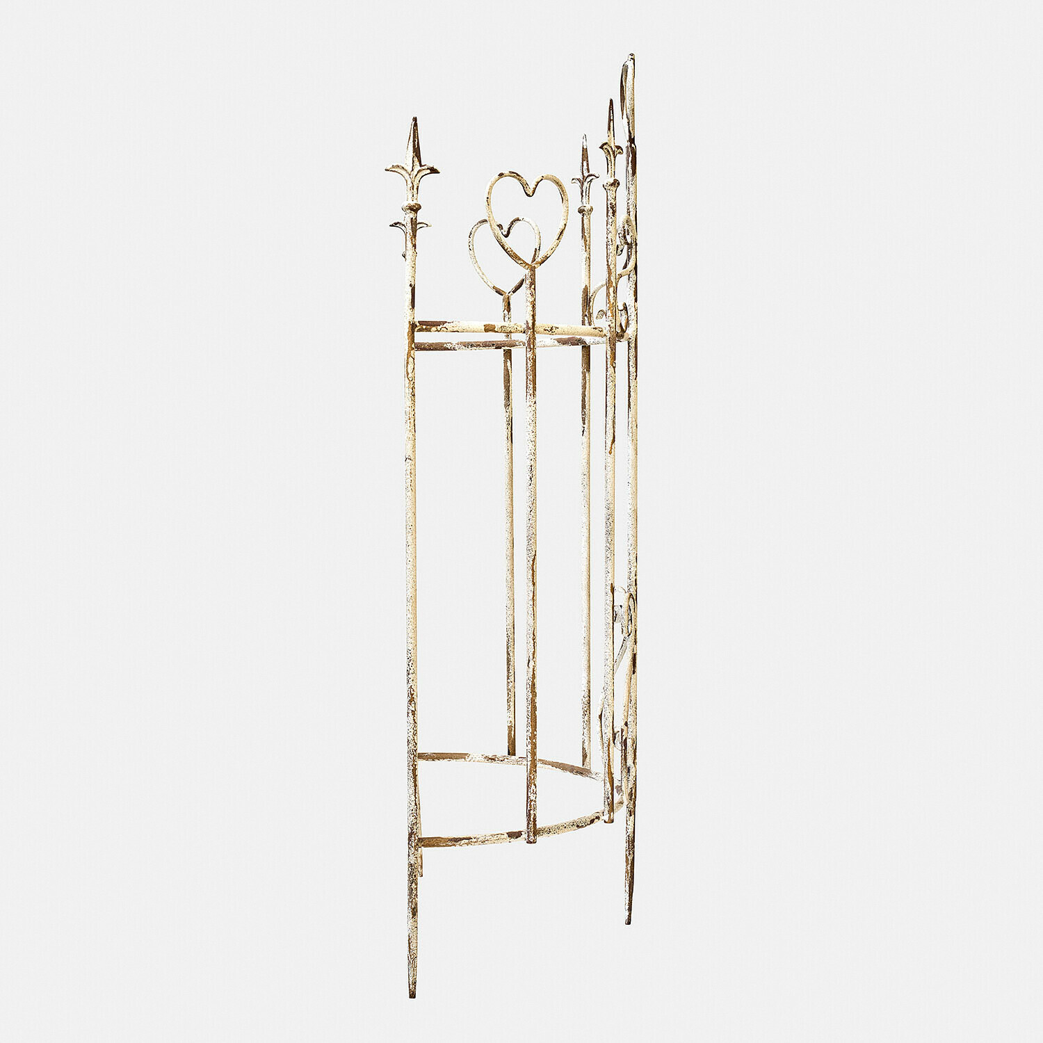 Klimplantenrek Iveralia