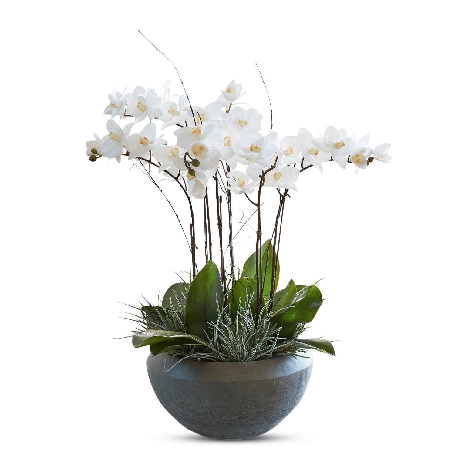 Sierbloem Balais