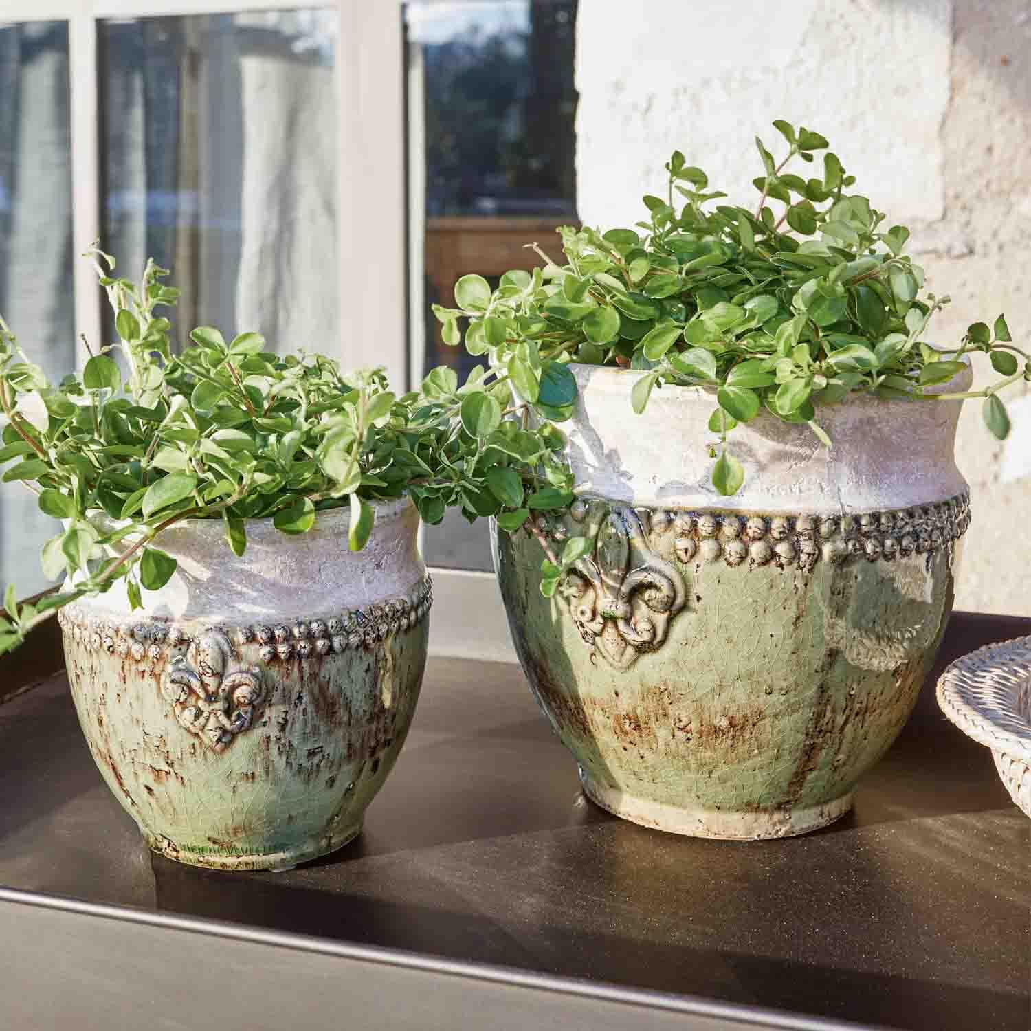 Twee groen-witte keramische bloempotten met planten en decoratieve patronen op zonnige tafel