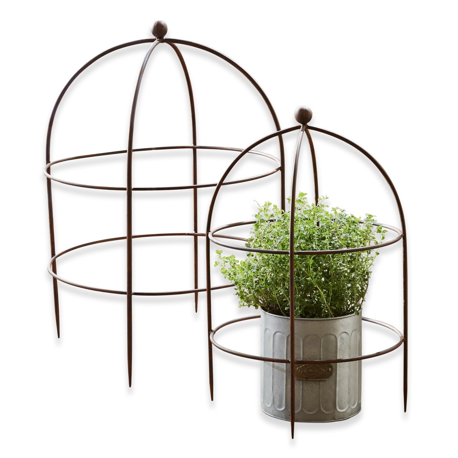 Klimplantenrek set van 2 Cristan