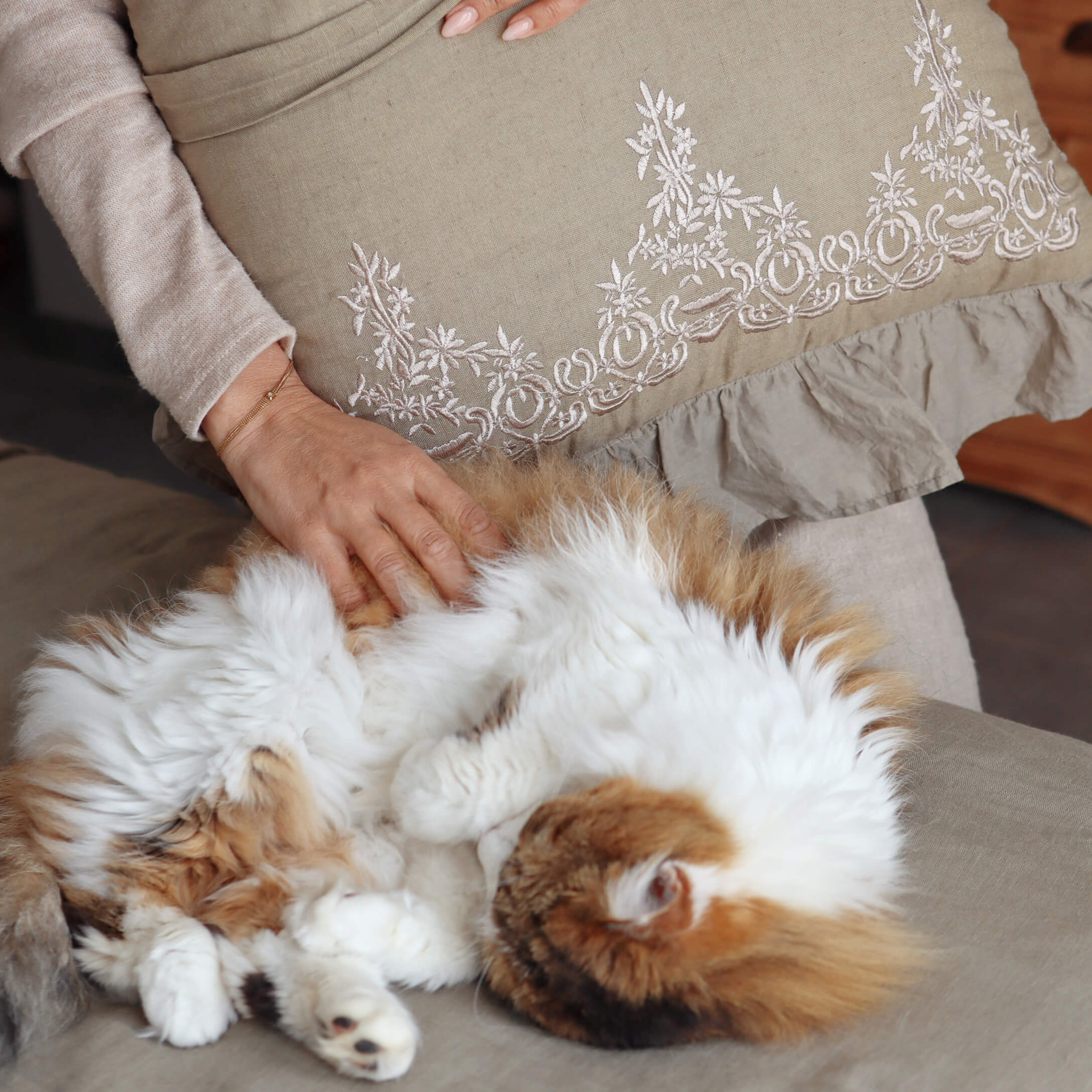 Hand streelt pluizige wit-oranje kat op beige bank met geborduurd kussen