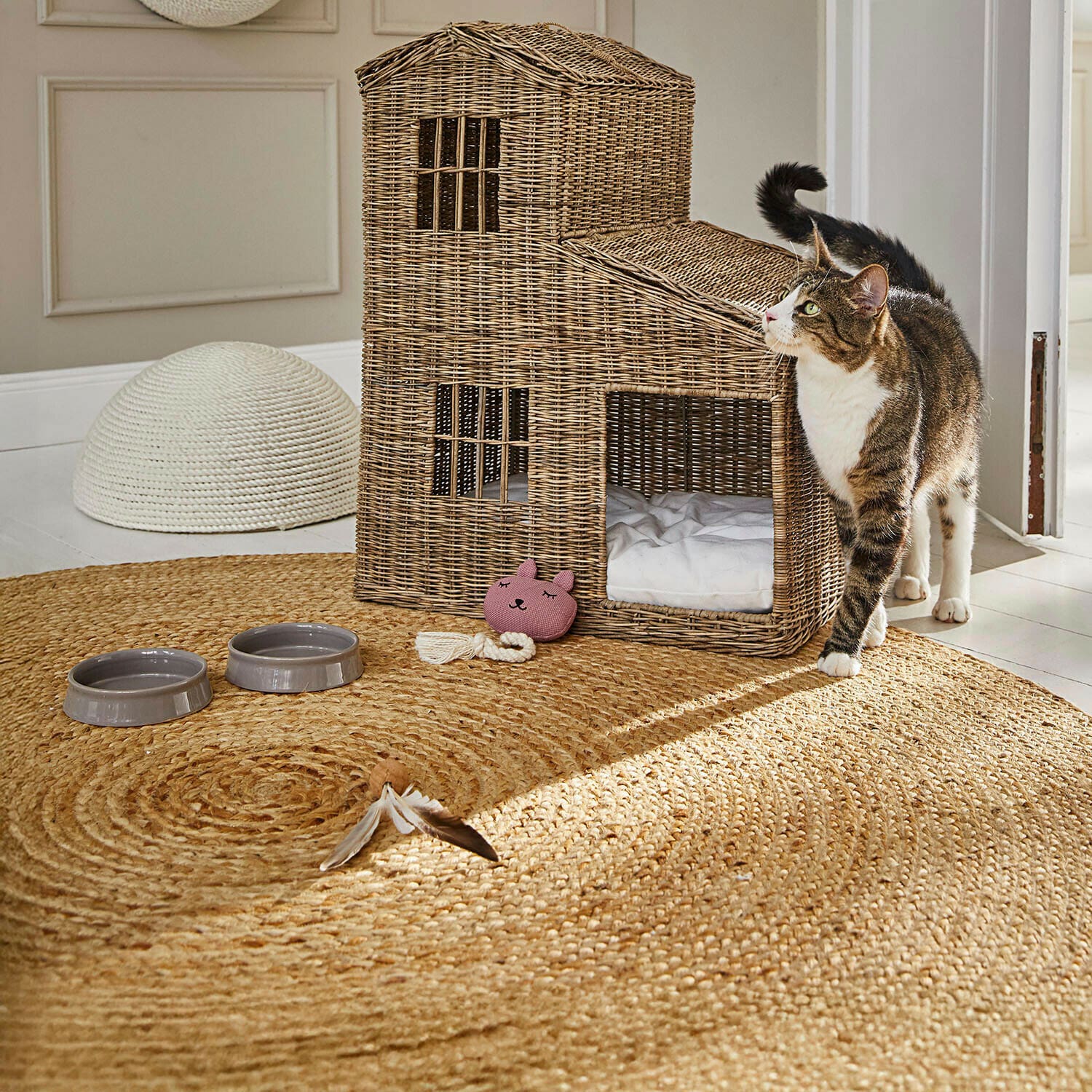 Huisdierenspeeltje Miezmo