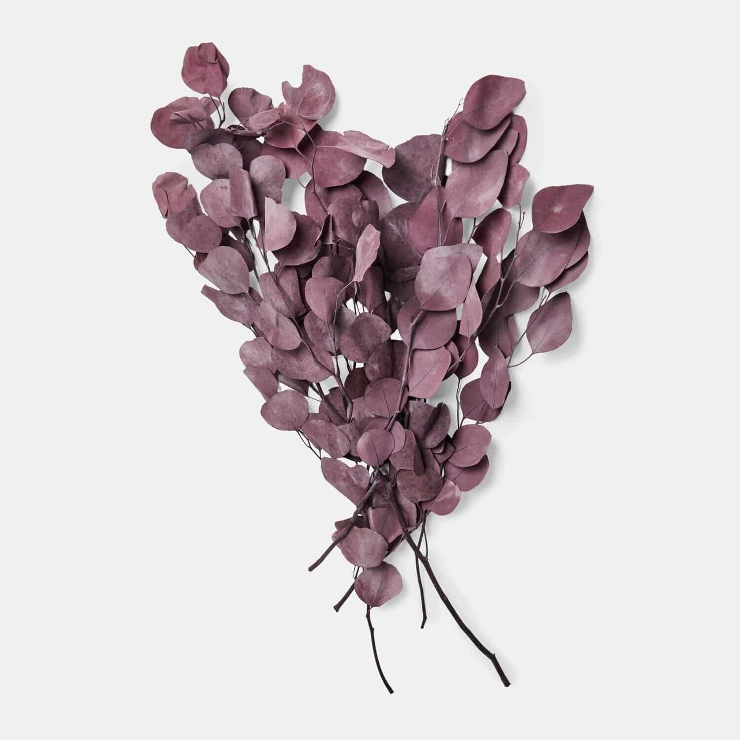 Decoratieve bloem Ianthee