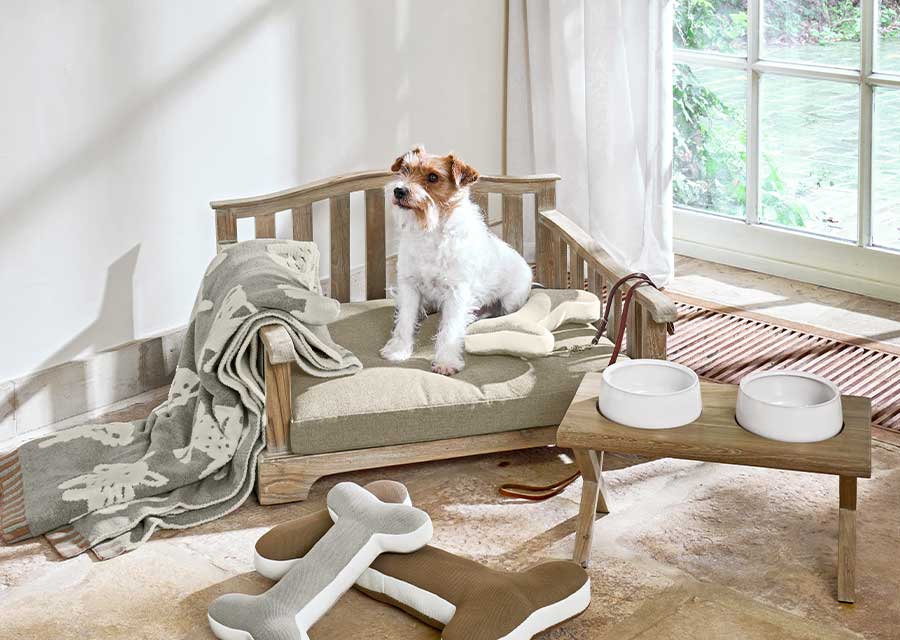 Lievelingsplekje voor huisdieren