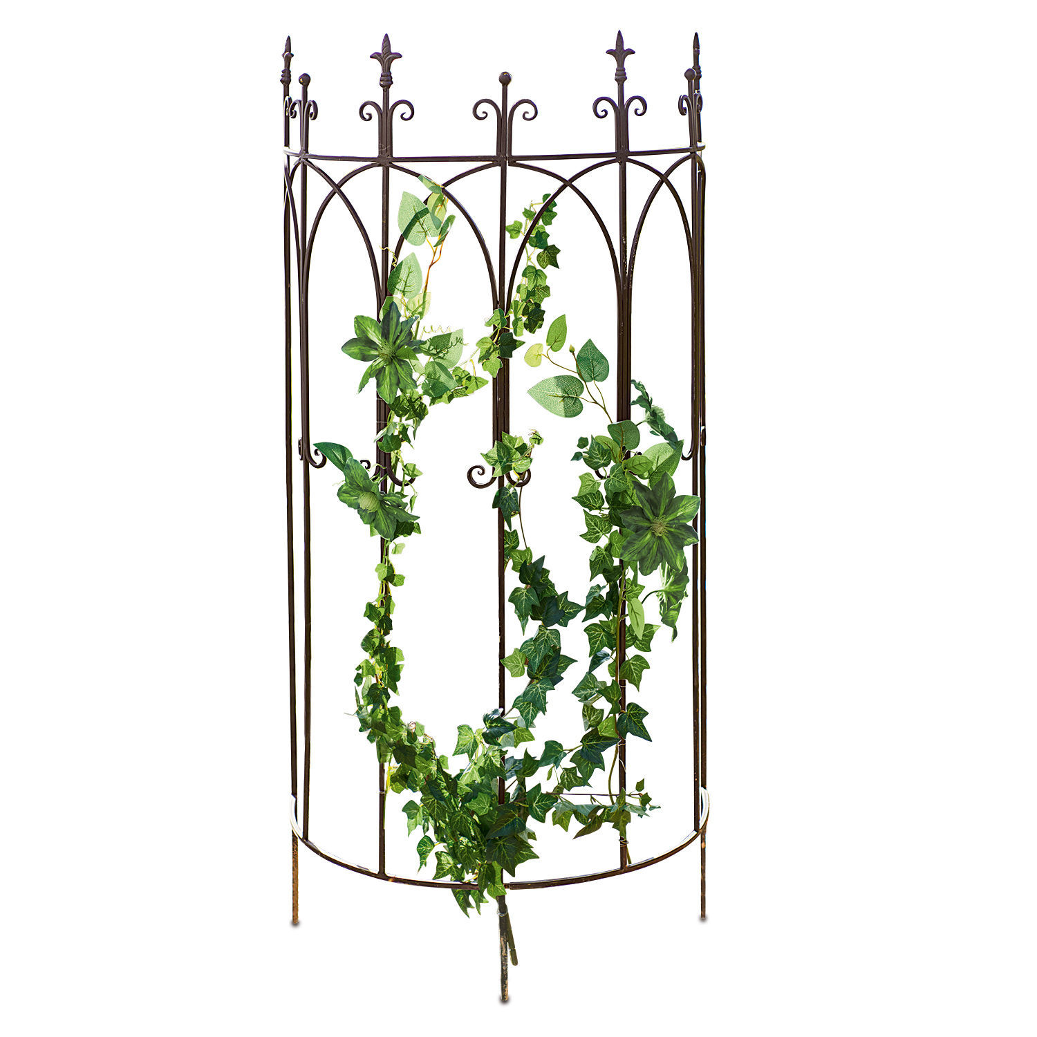 Klimplantenrek Binners