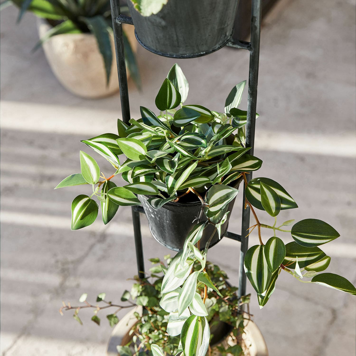 Plantenstandaard Châtonnaye