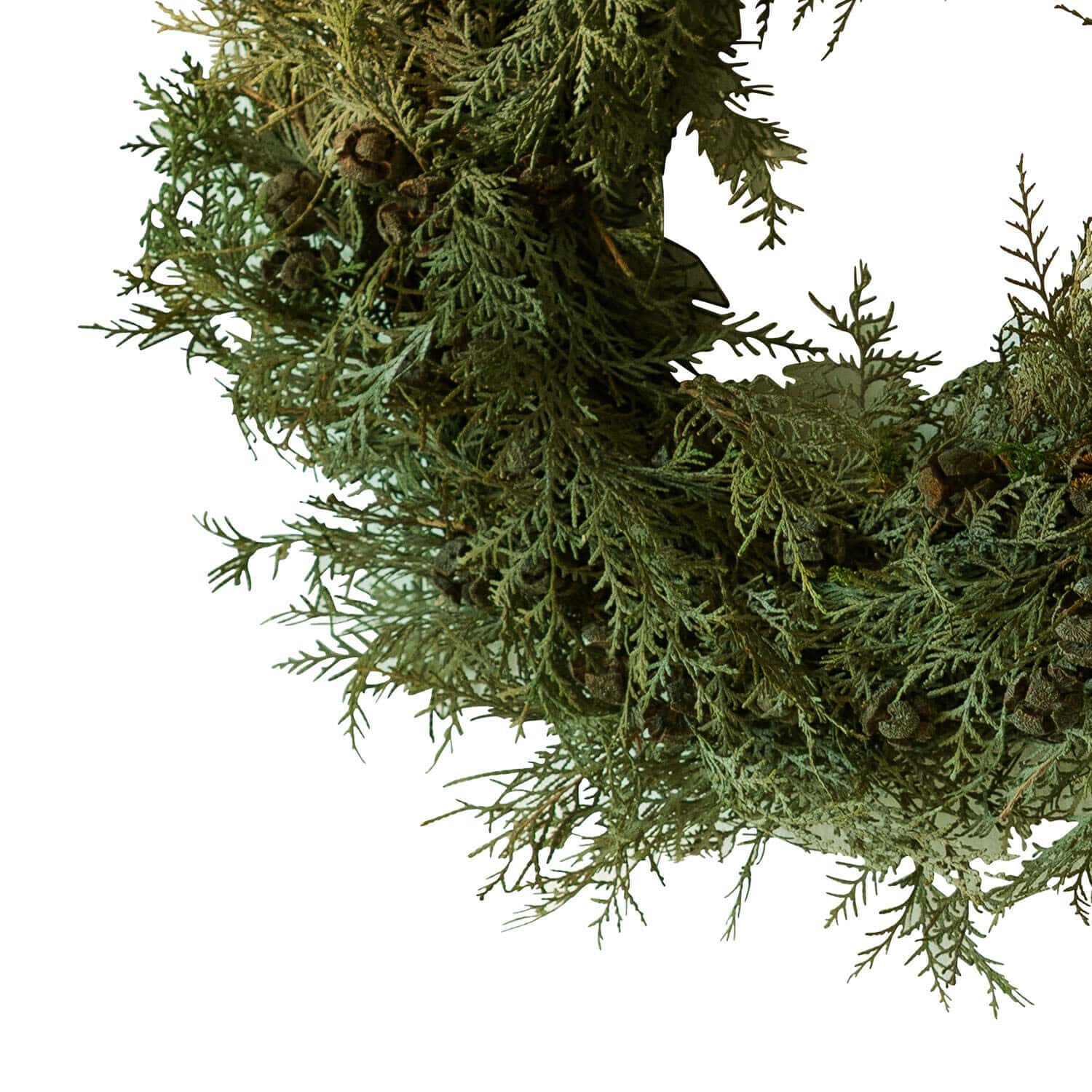 Droogbloemenkrans Willara