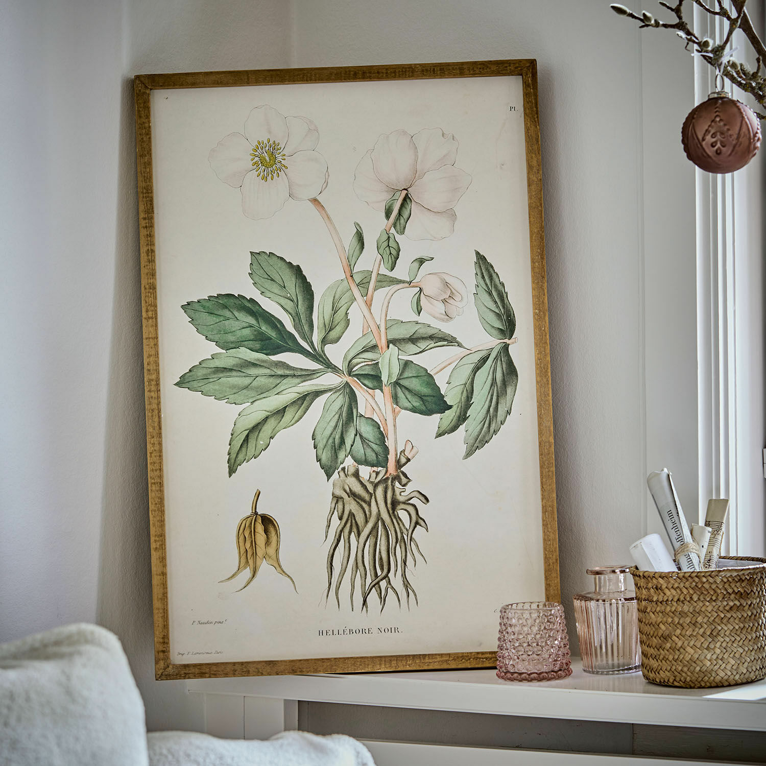 Afbeelding Hellebore
