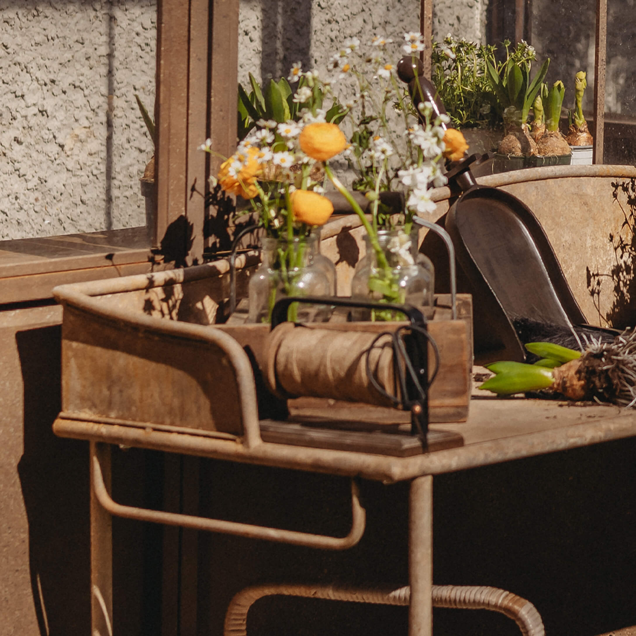 Metalen tuintafel met gele bloemen in glazen vazen en tuingereedschap in zonlicht