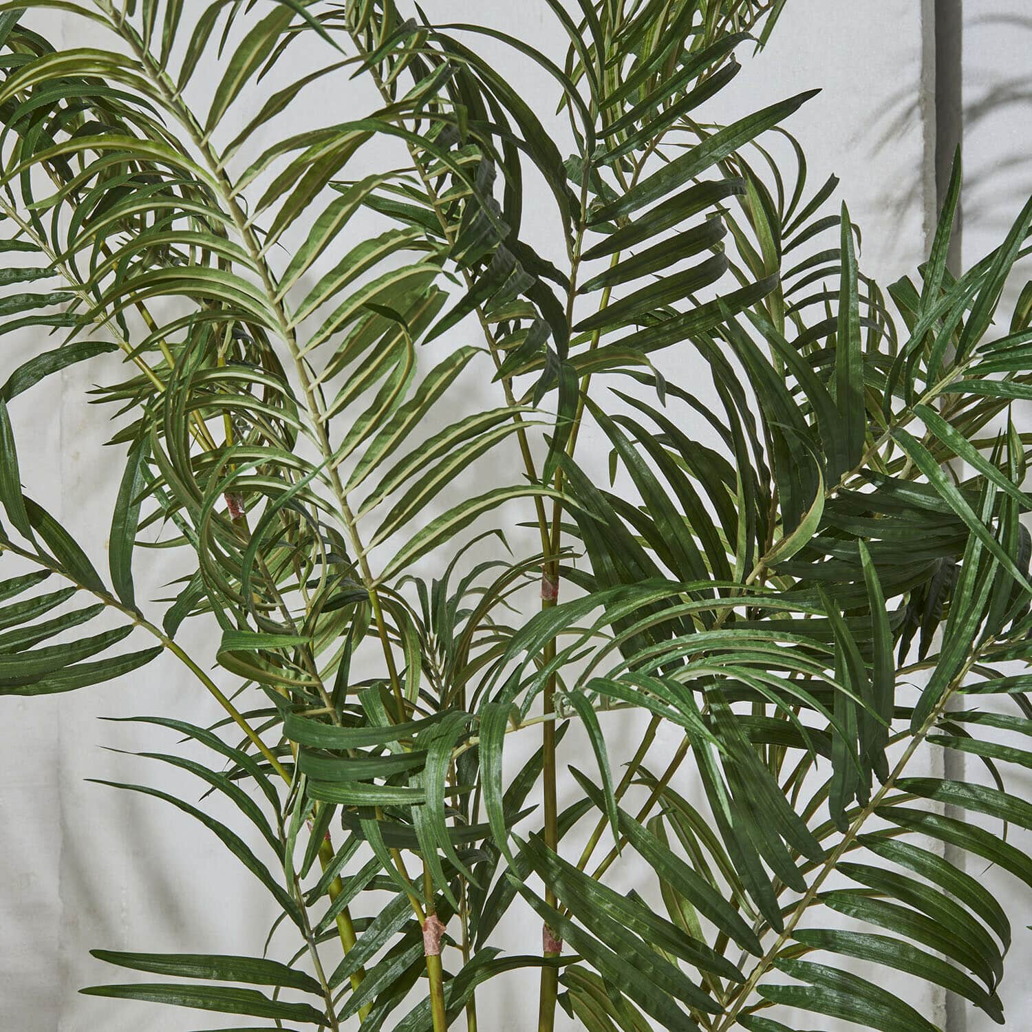 Decoratieve palmplant Mersina