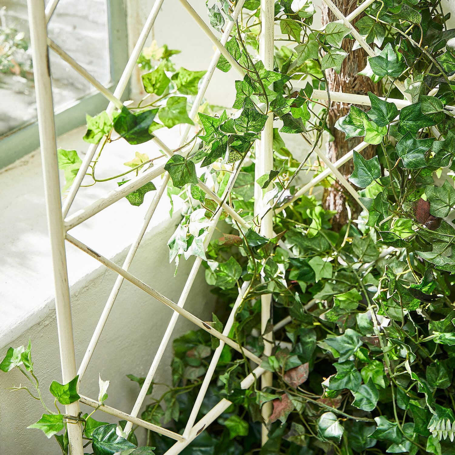 Klimplantenrek set van 2 Estero