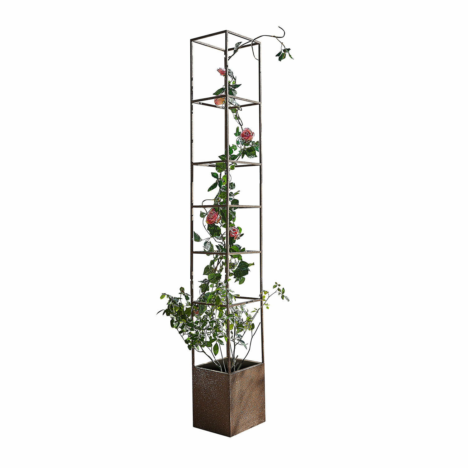 Plantensteun Elixvo