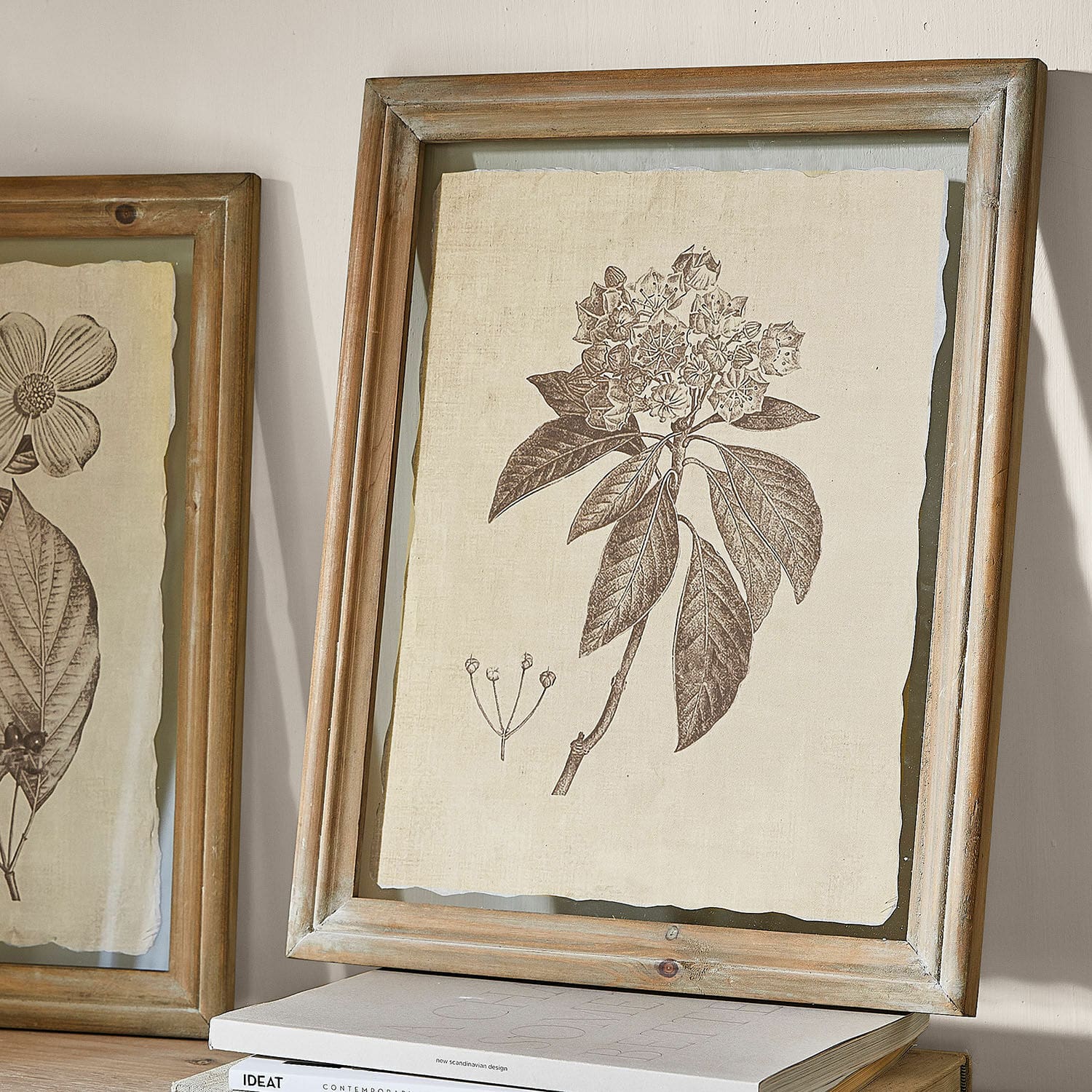 Afbeelding set van 2 Guyra