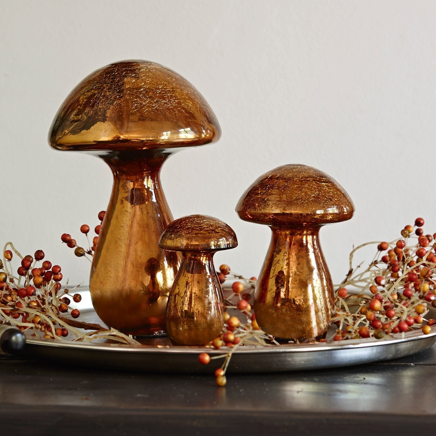 Decoratie paddenstoel set van 3 Mushrooms