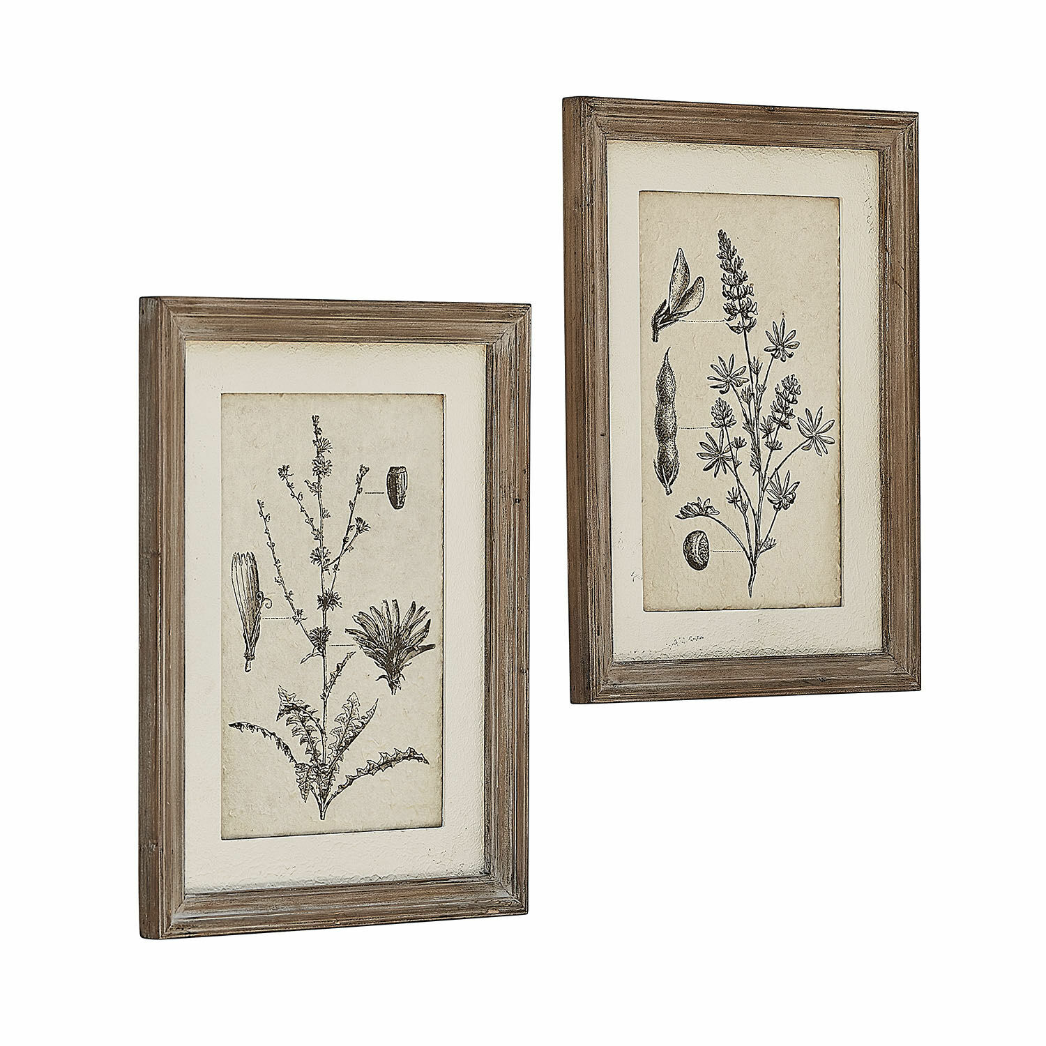Schilderij set van 2 Stanbury